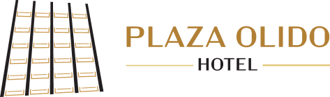 logoplazolido